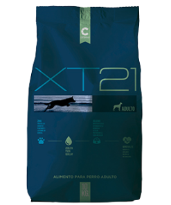 Xt21 Adulto